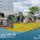 Bupati Resmikan Mesin Dryer dan RMU, Buyung-Buyung Siap Jadi Lumbung Padi Berau