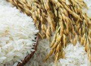 04657325 d60e 4c5c 8ccf 720fd14f6a97