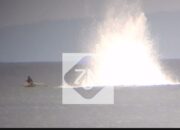 Dinas Perikanan Berau Gencarkan Patroli Laut, Perangi Praktik Penangkapan Ikan dengan Bom 9 07bd5afc img 20251105 wa0002