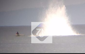 Dinas Perikanan Berau Gencarkan Patroli Laut, Perangi Praktik Penangkapan Ikan dengan Bom 3 07bd5afc img 20251105 wa0002