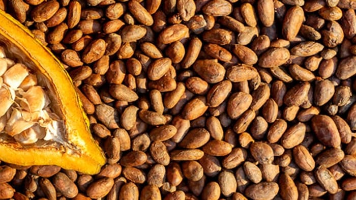 39246495 img 20251127 wa0002