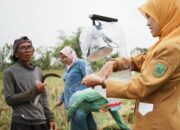Inovasi ‘Zero Waste’ Pertanian UPT BBPHA Ciptakan Lampu Perangkap Hama Tenaga Surya dari Galon Bekas