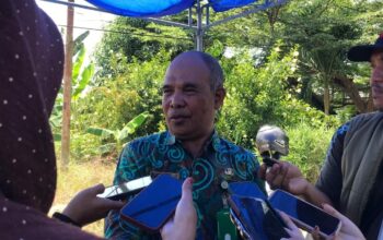 97f2101e img 20251129 wa0000