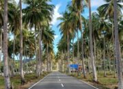 98485851 5f5c 4846 a3af 0bb43ff51705