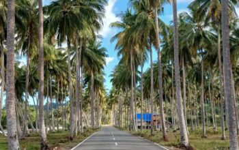 98485851 5f5c 4846 a3af 0bb43ff51705