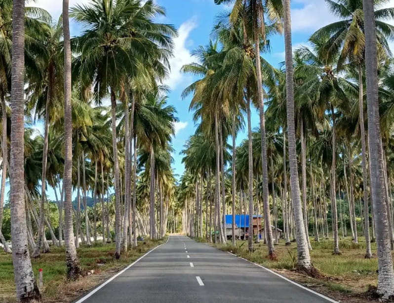 98485851 5f5c 4846 a3af 0bb43ff51705