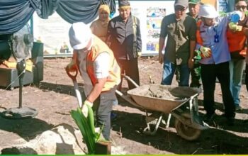 c0db0abc img 20251127 wa0001