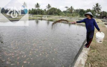 e80a2fd5 img 20251113 wa0003