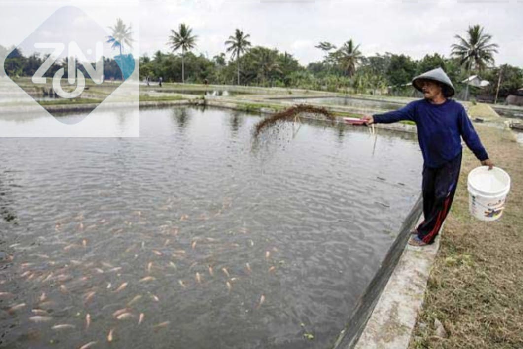 e80a2fd5 img 20251113 wa0003