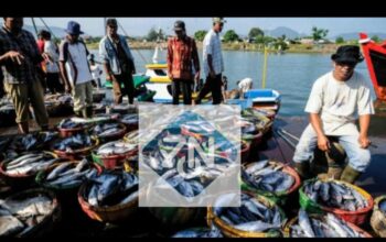 Produksi Ikan Nelayan Berau Terus Meningkat, Laut Masih Sehat 4 ebd1c115 img 20251105 wa0001