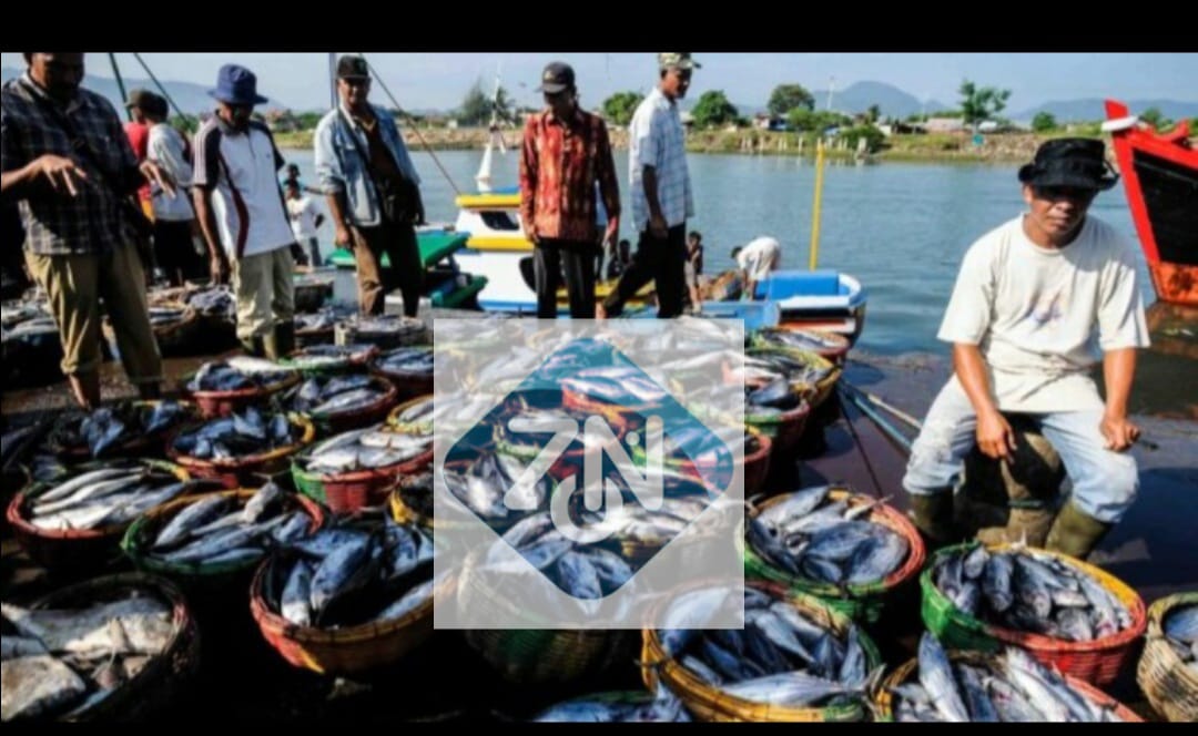 ebd1c115 img 20251105 wa0001