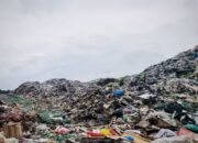 Pemkab Berau Hadirkan Pelaku Usaha dan Komunitas Pengolahan Sampah Organik