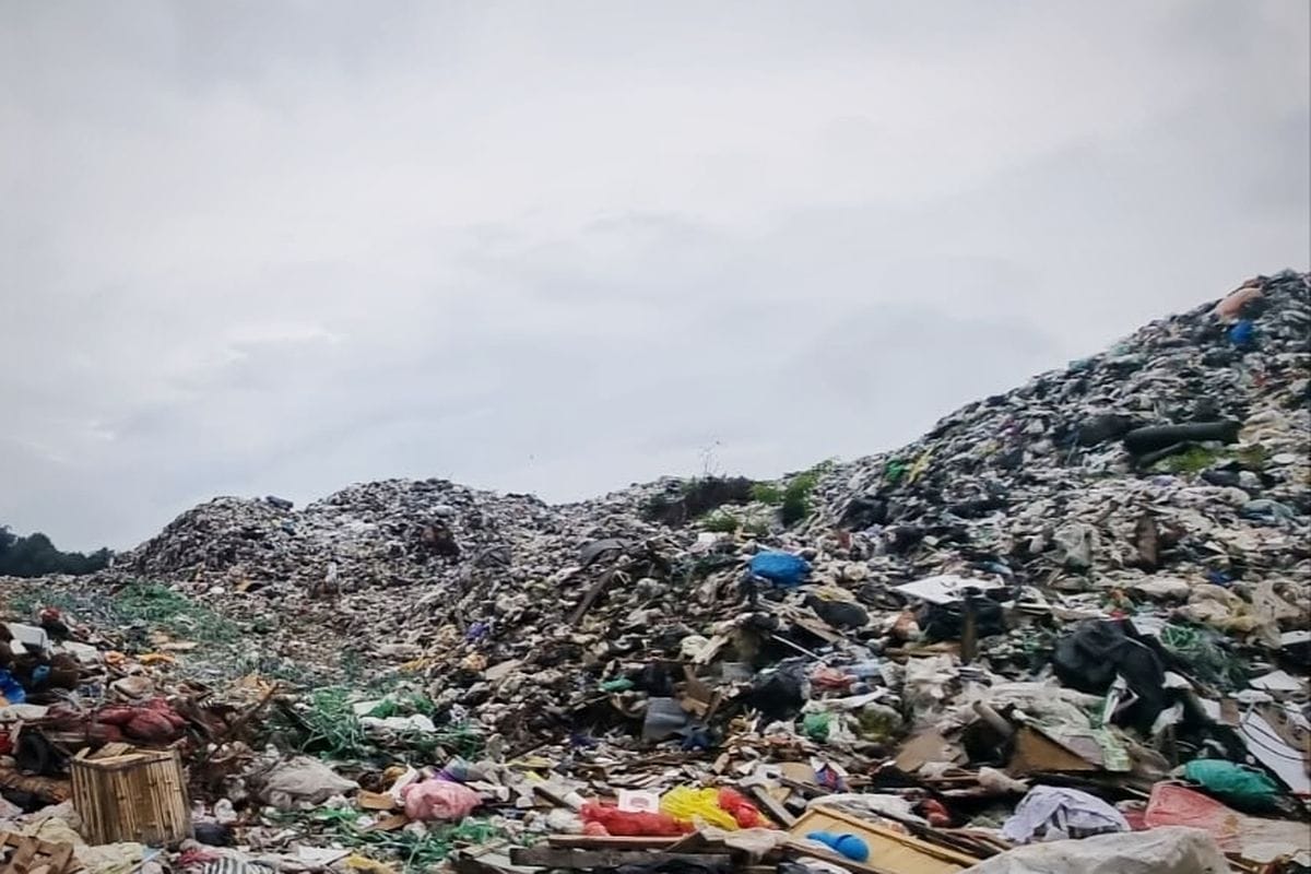 1dca3079 d361 4dad 89a7 fc4c546170f7