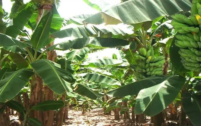 27384626 6c6d 4d2a a2cd c1e54c118aab