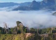 Gunung Mincau Kampung Tepian Buah Kembali Dibuka: Akses Lebih Aman, Layanan Wisata Lebih Tertata