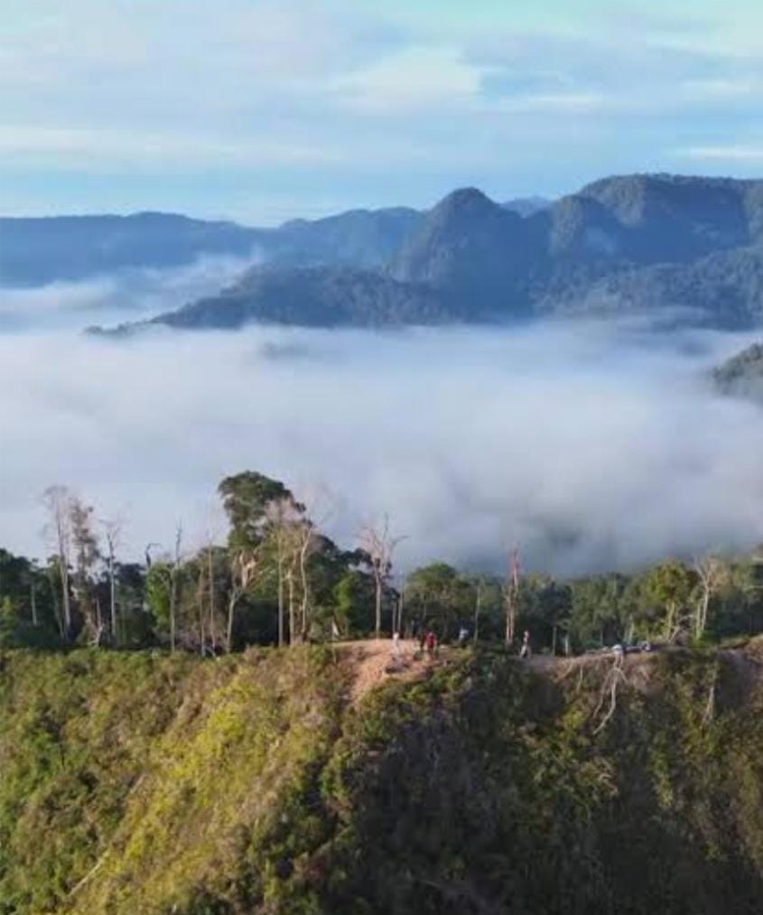 31baff98 bf50 4d2f aa9b 490d8fc7cc8c