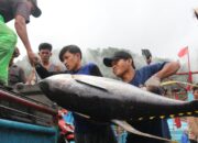 Berau Siapkan Transformasi Industri Perikanan, Investor Mancanegara Mulai Masuk