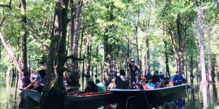 46d026c7 1000463694 11zon