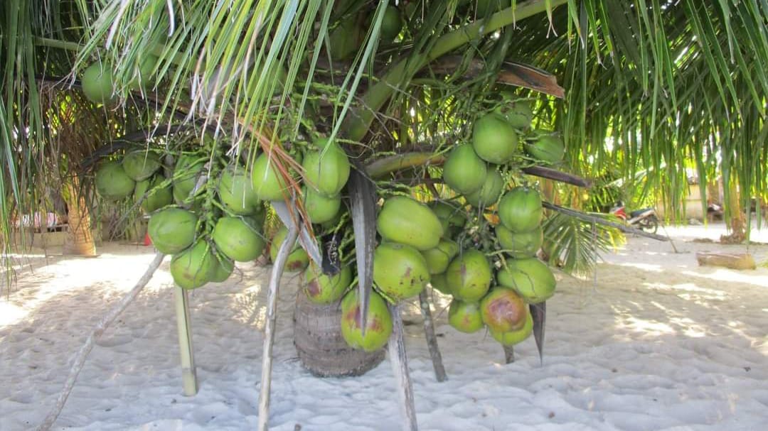 4ed9754f 6c10 442c 92a9 04aad913d66f