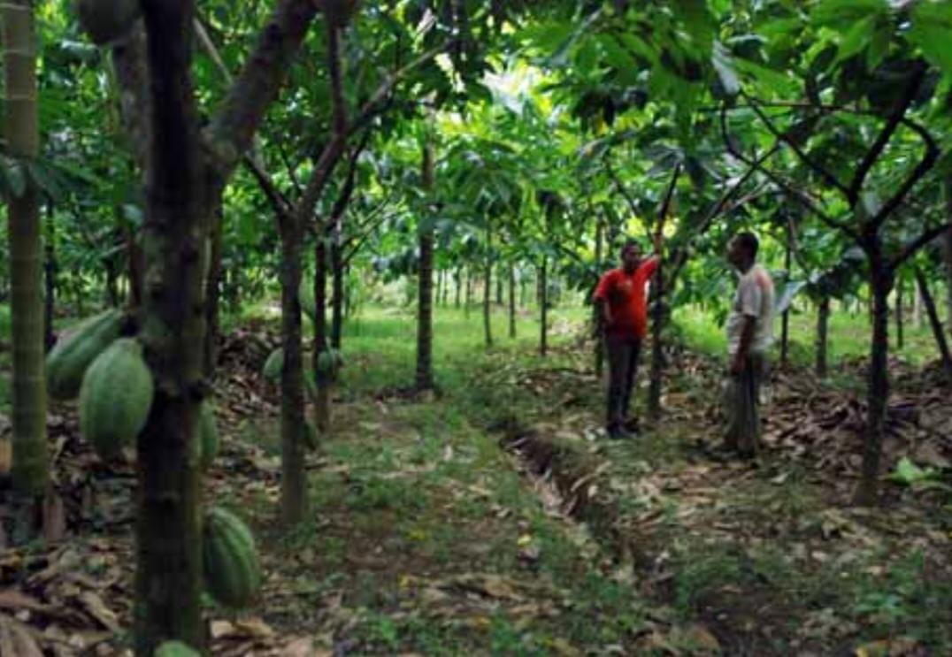 56093d9b ed3f 4950 9413 e12336eab7fc