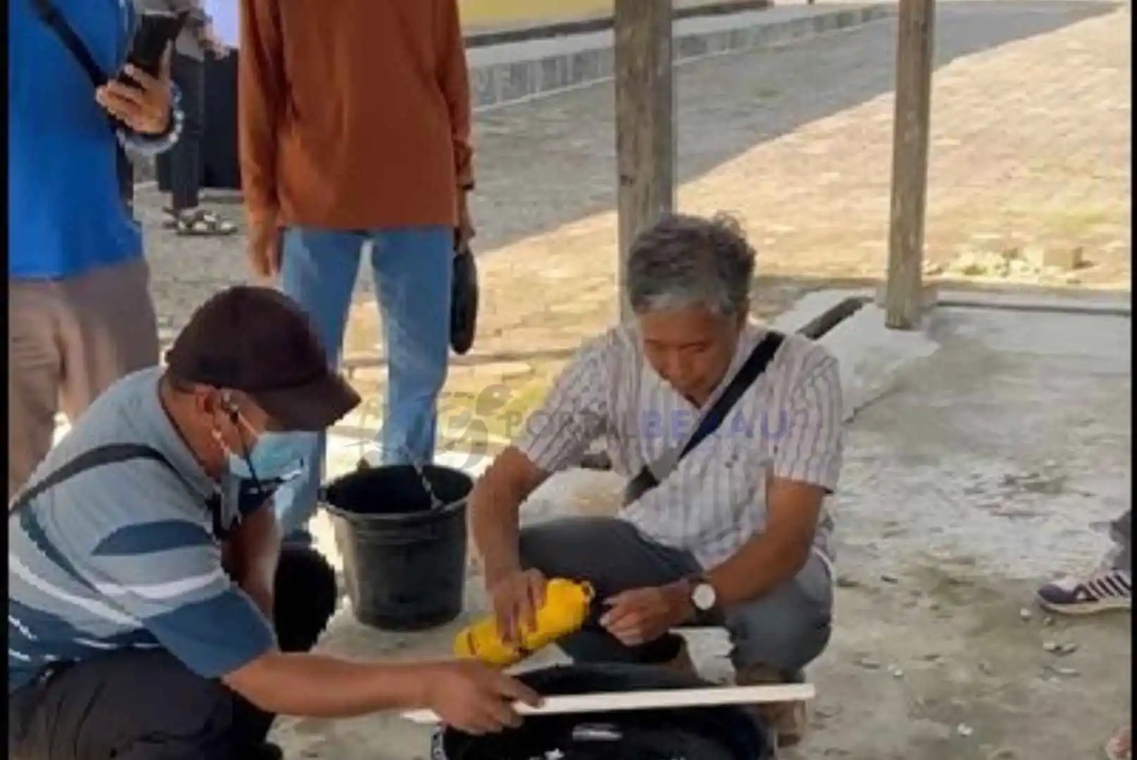 67090320 1000498339 11zon