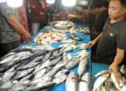 6e476418 0ad9 4c55 95b6 47045989f5d6