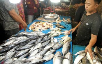 6e476418 0ad9 4c55 95b6 47045989f5d6