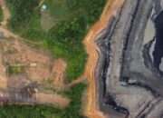 Menakar Ulang Arah Pembangunan Berau di Tengah Tekanan Lingkungan 9 752155e4 img 20251217 wa0001