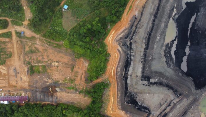 Menakar Ulang Arah Pembangunan Berau di Tengah Tekanan Lingkungan