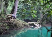 Semangat Bangun Wisata Pedalaman, Disbudpar Berau Perkuat Pendampingan Kampung