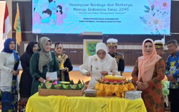 907ebaf9 img 20251224 wa0002