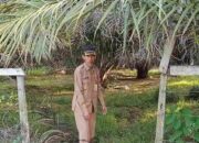 Pemkab Berau Dorong Inovasi Integrasi Pertanian, Tingkatkan Efisiensi Lahan dan Pendapatan