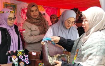 a97e1644 665b 4eef 998f 799f36ea624e