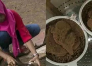 Diskoperindag Dorong Industri Rumahan Berau Masuk Pasar Ekspor