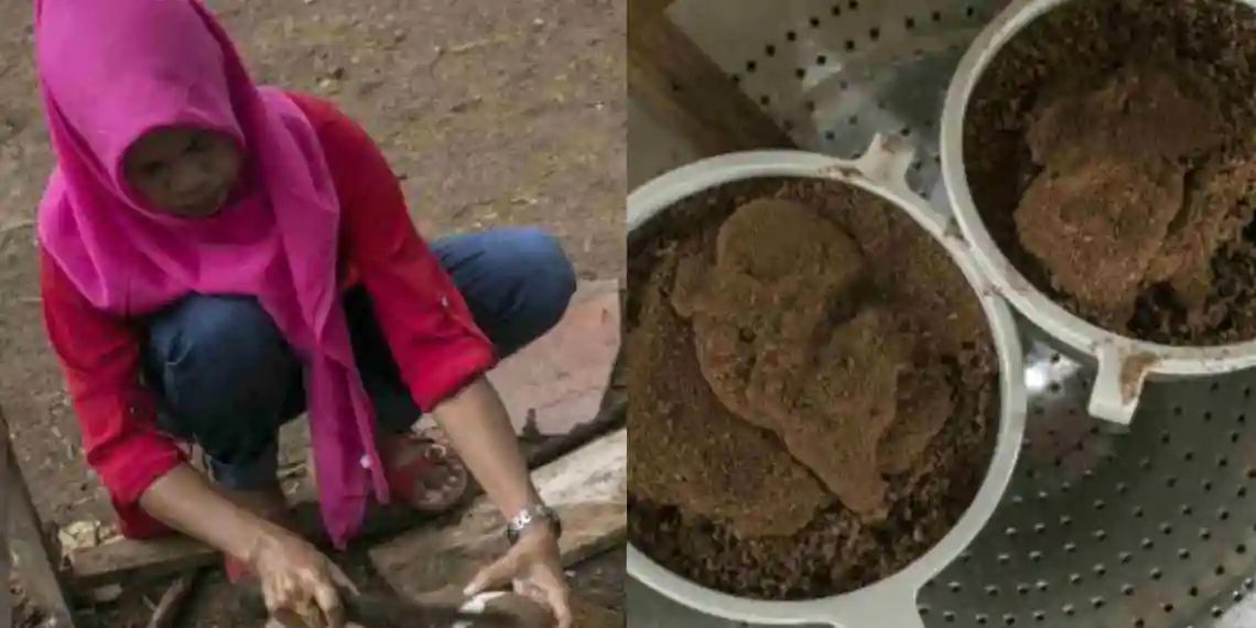 afda12af 1000480597 11zon