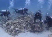 Pulau Derawan Makin Mendunia Berkat Kiprah Pokdarwis Sumping Nusa