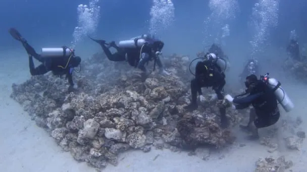 cb4435cd 0cc7 4444 a805 2eb08b429023