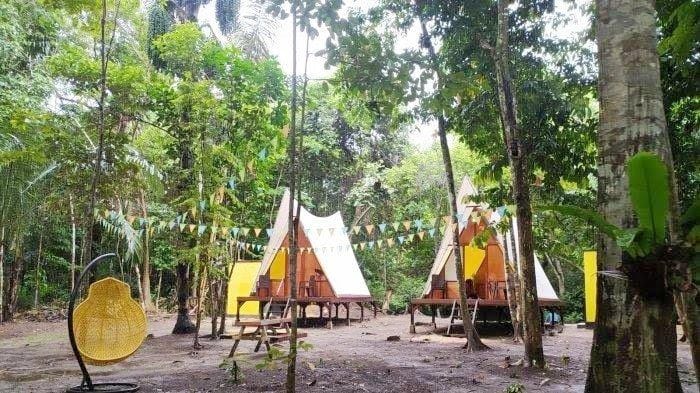 cd5d150b d3b2 4905 9373 fd248a91d891