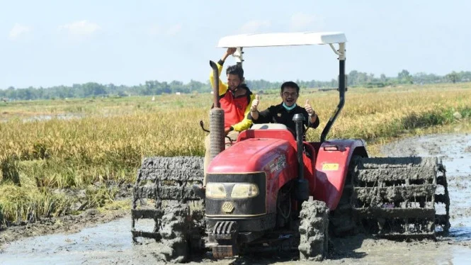 d4640efa 63f6d07e7f74b panen raya menggunakan alat mesin pertanian alsintan 665 374