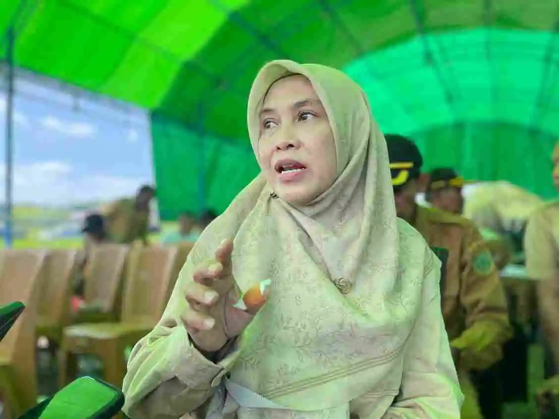 e88b8d13 1000493611 11zon