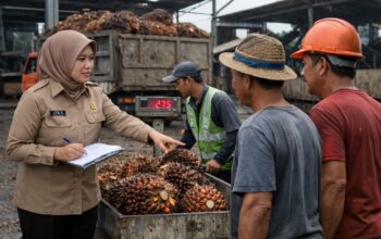 Pemkab Berau Perkuat Pengawasan Penilaian TBS, Petani Diminta Perhatikan Kualitas Panen 6 a815424e d880 4a83 8ed5 51ffae52210a