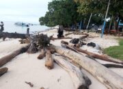 Kayu Gelondongan Cemari Pantai Maratua, Warga Pertanyakan Peran DLHK