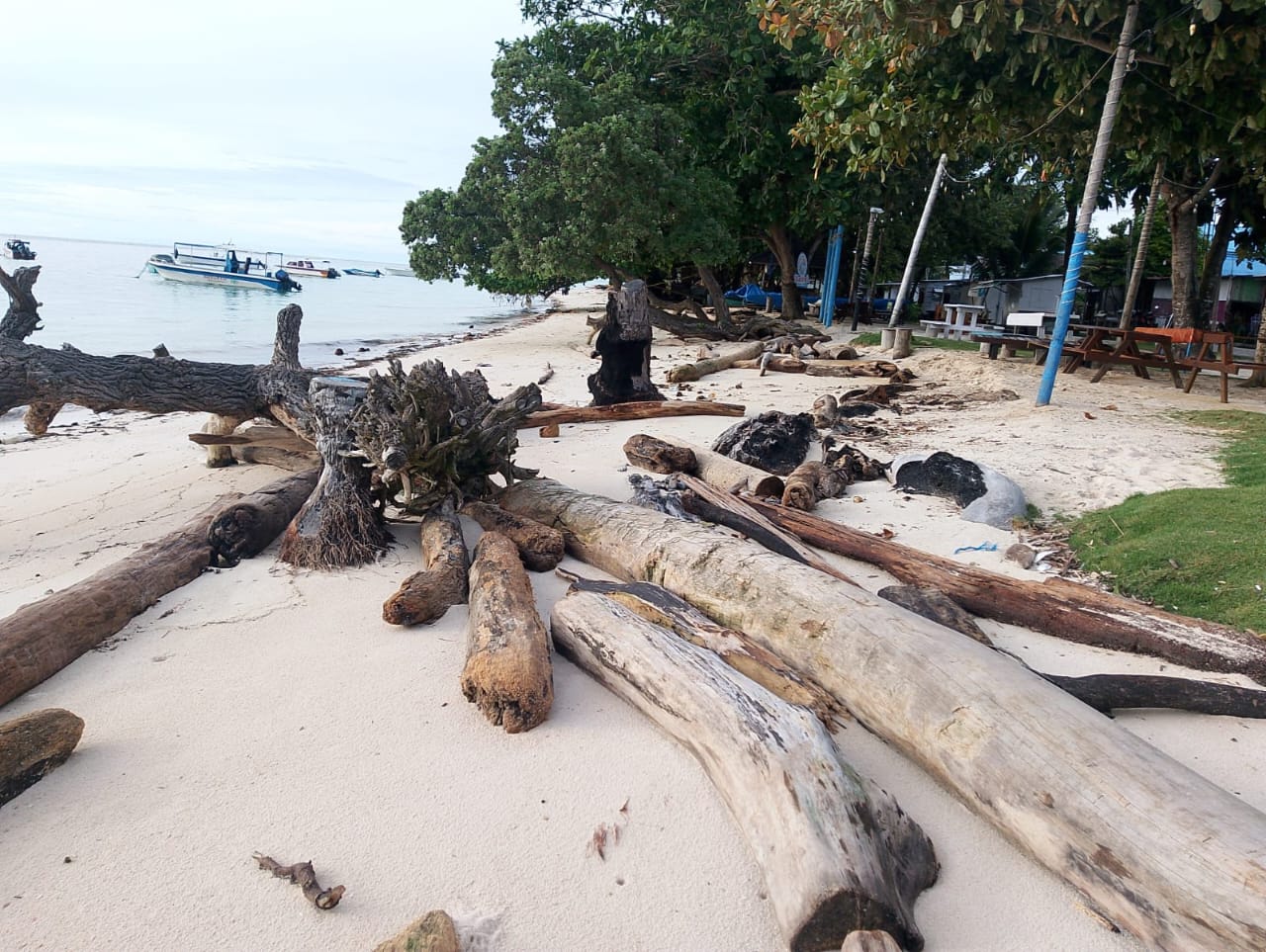 a88398b0 5a1e 4063 be04 d11ed3eaccf7