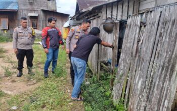 c1c509ff img 20260108 wa0017