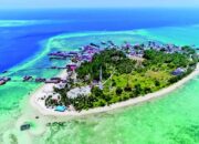 2423d667 img 20260216 wa0022