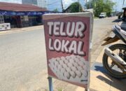 253e017c img 20260220 wa0033