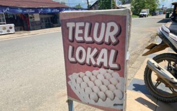 253e017c img 20260220 wa0033