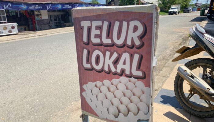 Harga dari Agen Naik, Penjual Telur di Berau Tetap Tahan Harga Demi Pelanggan