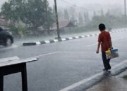 6131851e img 20260220 wa0029