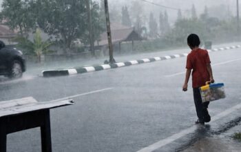 6131851e img 20260220 wa0029